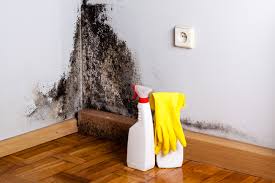 Best Mold Documentation for Insurance Claims  in Flying Hills, PA